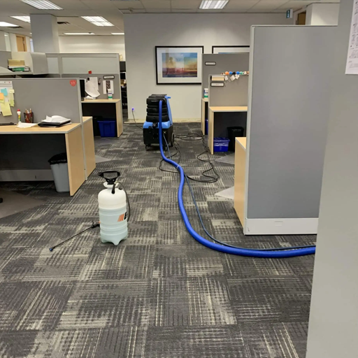 Before and After COTG